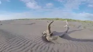 Weekend at Ocean Shores WA