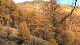 South Tyrol, Vinschgau, Tanas, Stierh&uuml;tte