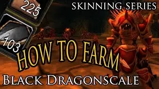 How to Farm Black Dragonscales in BWL - Skinning Series
