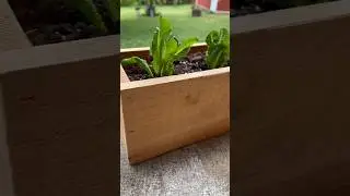 Scrap Cedar Planter Made Easy