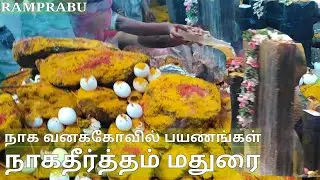 நாகதீர்த்தம் வனக்கோவில் மதுரை | NAGA THEERTHAM HILL TEMPLE MADURAI TAMILNADU VISIT