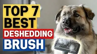 Top 7 Best Dog Deshedding Brush for Heavy Shedding Review (Unexpected) Owners Must See 2026