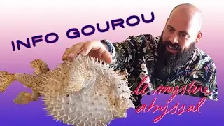 INFO GOUROU #05 /// LE MYST&Egrave;RE ABYSSAL