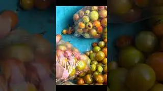 Alguien me podr&iacute;a explicar c&oacute;mo se prepara el #tomate #cherry para un alimento delicioso