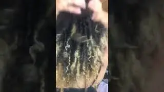 4 month loc journey on 3b/3c hair