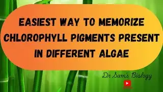 Easiest way to Memorize Chlorophyll Pigments present in Different Algae