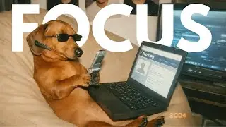 Life Is Too Serious &ndash; Ambient Techno Music for Deep Focus (No Vocals)