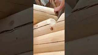 Bevel axe 🪓 Building log cabin