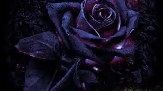 Imagine Dragons - Radioactive - by Dark Pretty Rose