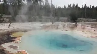Silex Spring, Yellowstone National Park