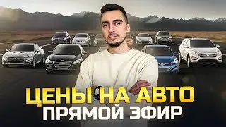 Шок цены на авто из Японии, Кореи и Китая. Прямой эфир