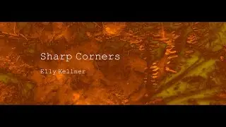 SHARP CORNERS - Lyric Video | Elly Kellner (2020)