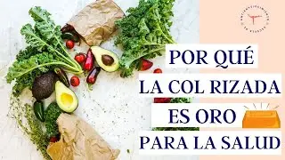 ¿Para qué sirve la COL RIZADA o KALE? 🥬 6 INCREÍBLES Propiedades y Beneficios | Por qué comer