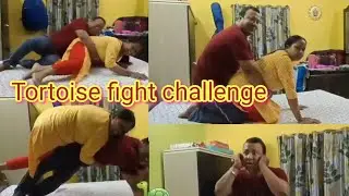 Tortoise fight challenge🐢//husbend vs wife//very funny request video // popy maan pakhi |