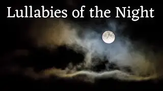 Moonlit Melodies: Tranquil Night Ambience for Deep Sleep
