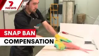 Snap ban compensation tied up in several month-long delay | 7NEWS