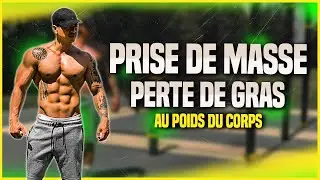 Programme complet prise de masse et perte de gras au pdc GRATUIT