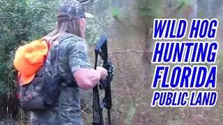 South Florida PUBLIC LAND Feral Hog Hunting!