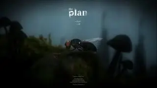 The Plan. Прохождение с достижением (ачивкой).
