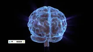Artificial Intelligence detects Alzheimer's disease early