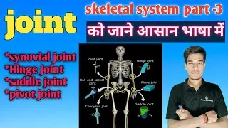 |Joint |skeletal system|synovial joint, pivot joint, saddle joint,fibrous joint,cartilageneous joint