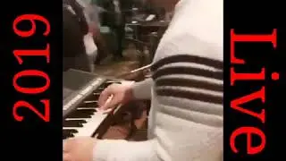 Gipsy daniel   bubenik to rosekal 2019 brekov