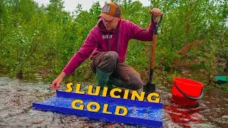 Sluicing for Gold in a Beautiful Creek