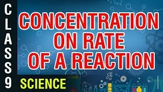 Effect of Concentration on rate of a Reaction | 9th Class Science | Digital Teacher