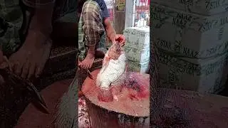 Fast Tilapia Fish Cutting Skills In Bangladesh Fish Market5#shorts
