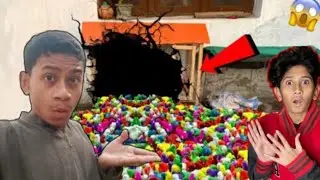 The Colorful 100 +Rise of Rainbow Chickens Hamare Mini zoo Mein colourful chicks surang se nikale,😱
