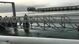 PEVRA livestream tech test