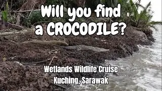 Santubong Wetland River Cruise in Kuching, Sarawak