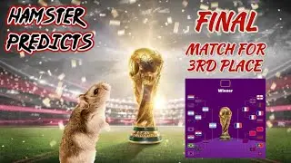 Argentina vs France FINAL | World Cup 2022 [Animal's football prediction]