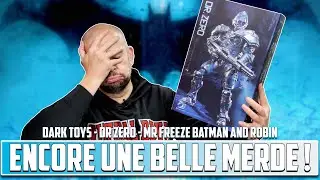 UNE GROSSE MERDE !!!  Dragon Toys Dr Zero Mr Freeze Batman Et Robin