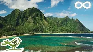 Tropical Practice: Fall Asleep Quickly 💁‍♀️ Relaxing Music for Stress Relief & Meditation Music