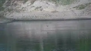 Djuma: Small Birds-take the challenge to identify? - 17:30 - 11/04/2023