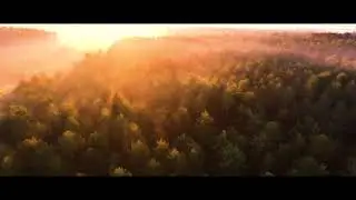 Drone Forest Footage Cinematic