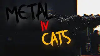 Metal Cats 4