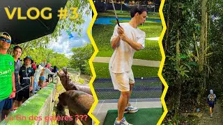 VLOG #3: Golf, safari&hellip; et encore des gal&egrave;res en Malaisie 🐅⛳