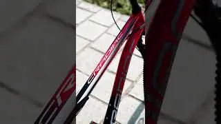 Cradiac Stinger