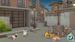 Kitten Match - New Event - EventChallenge - TimelimitedRoom - Spring Festival Chinatown - Full Story