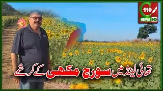 THAILAND: SOORAJ MUKHI KAY KARISHME | C110NEWS HD | REPORTED BY SAMEER QURESHI