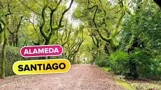 Parque de la ALAMEDA SANTIAGO de Compostela Un Paseo por su Naturaleza y Monumentos