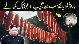 North Korea&rsquo;s Most Horrifying Foods | Facts About North Korea Food | Edufection
