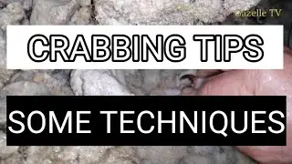Catch crab by hand