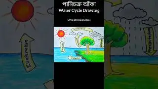 How to draw water cycle #shorts #drawing #watercycle