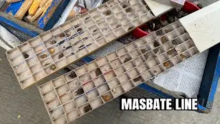 MGA MASBATE NA GAGAMBA
