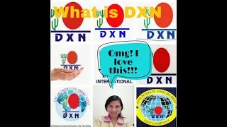 WHAT IS DXN PRODUCTS?