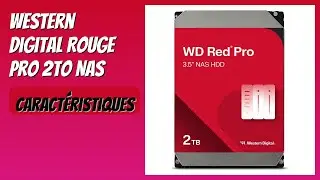 AVIS (2026) : Western Digital Rouge Pro 2To NAS. D&Eacute;TAILS