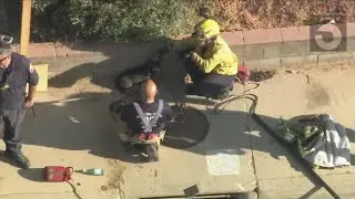 Crews rescue dog trapped in Los Angeles County sewer drain